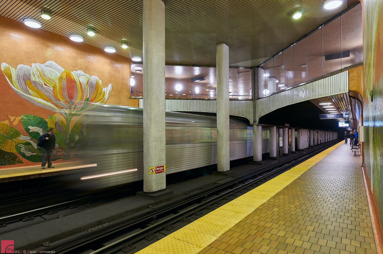 Photo: Pavel Voronenko